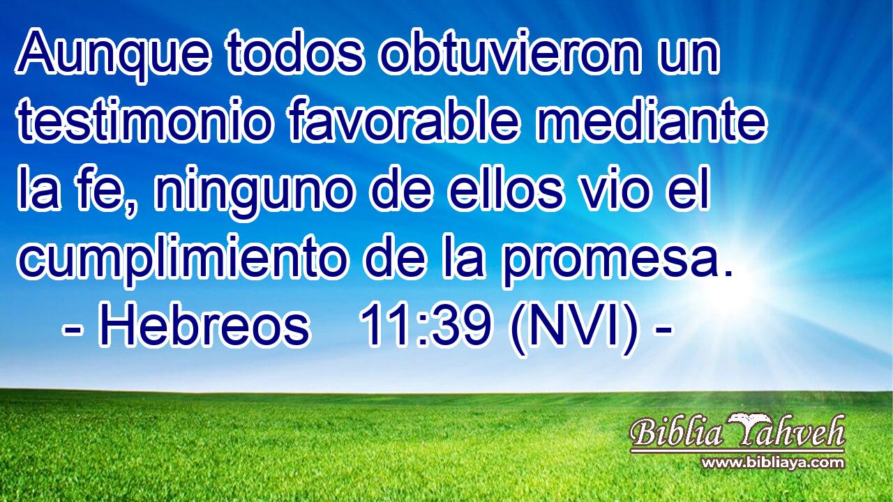  Aunque todos obtuvieron un testimonio favorable mediante la fe, ninguno de ellos vio el cumplimiento de la promesa. 