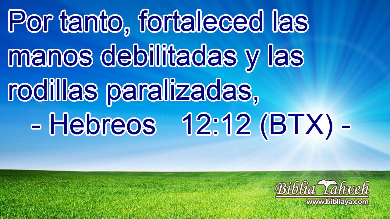 Por tanto, fortaleced las manos debilitadas y las rodillas paralizadas,