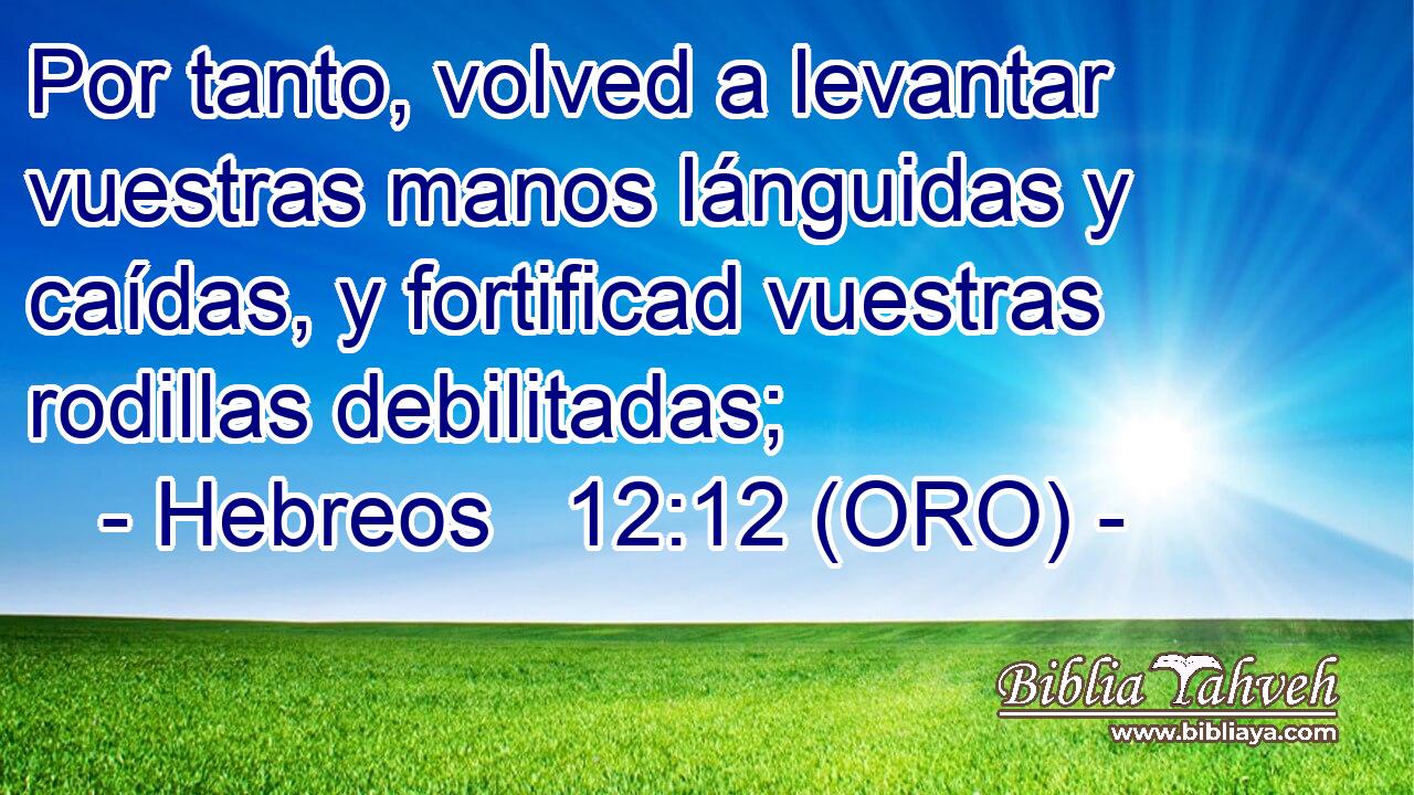  Por tanto, volved a levantar vuestras manos lánguidas y caídas, y fortificad vuestras rodillas debilitadas; 