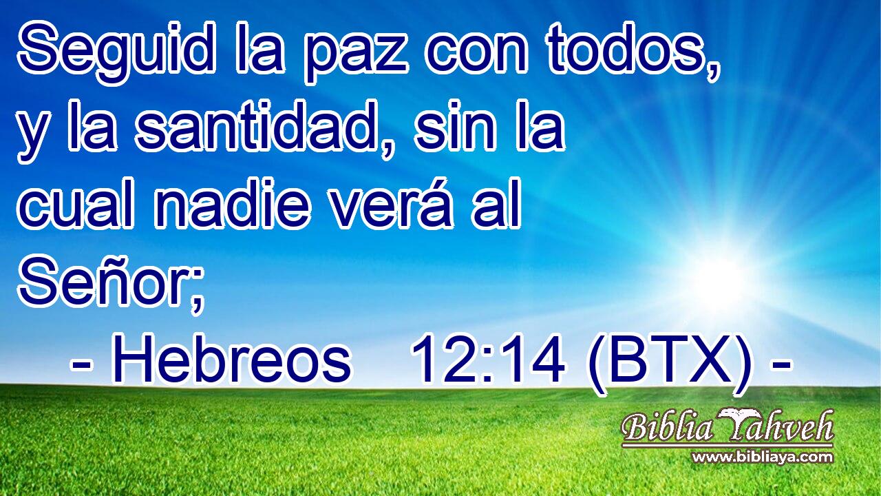 Seguid la paz con todos, y la santidad, sin la cual nadie verá al Señor;