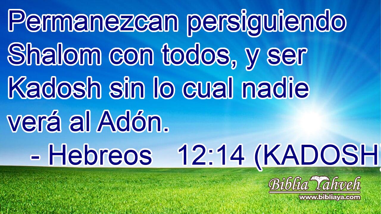  Permanezcan persiguiendo Shalom con todos, y ser Kadosh sin lo cual nadie verá al Adón. 