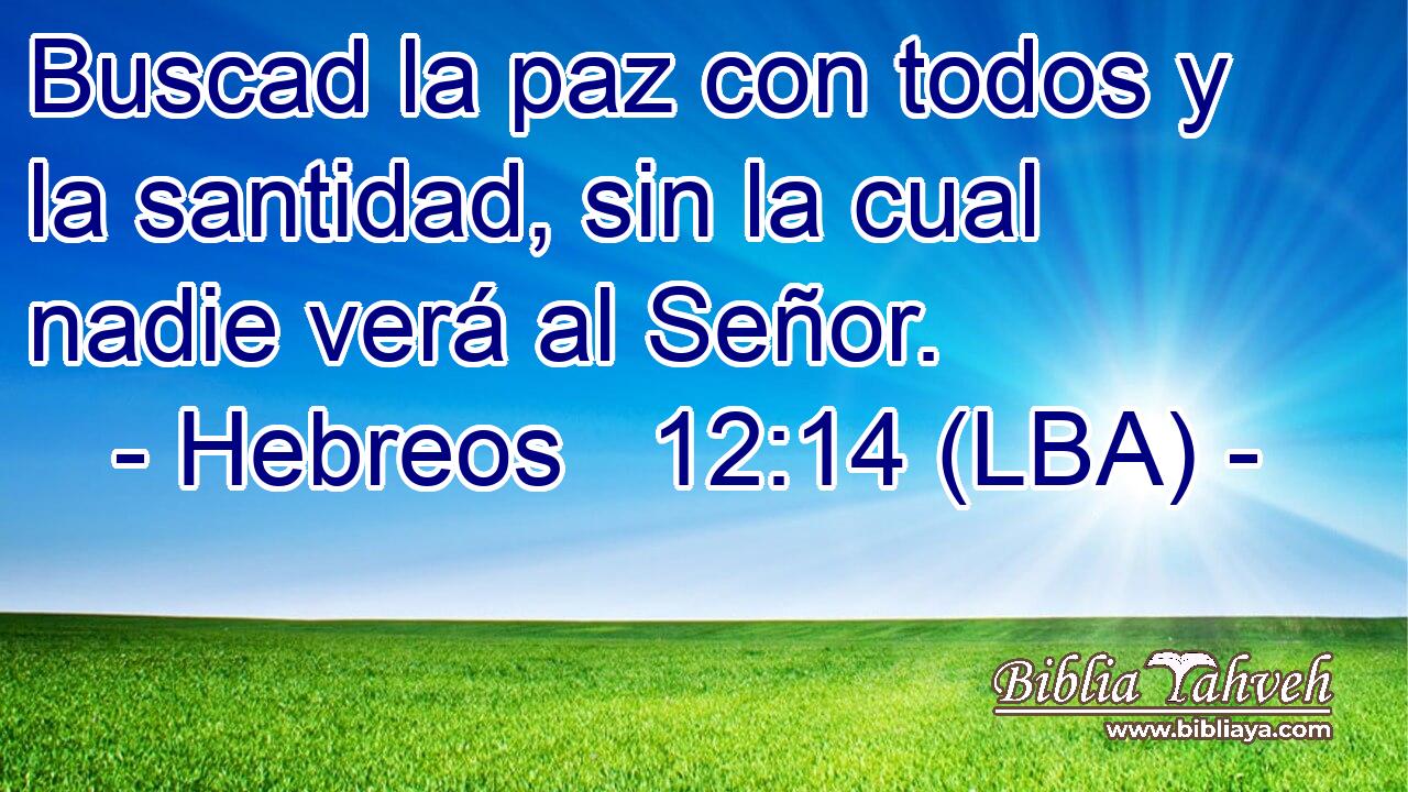 Buscad la paz con todos y la santidad, sin la cual nadie verá al Señor.
