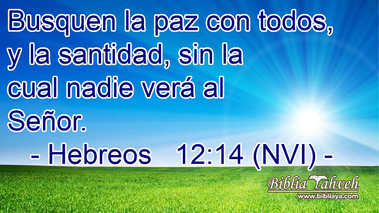  Busquen la paz con todos, y la santidad, sin la cual nadie verá al Señor. 
