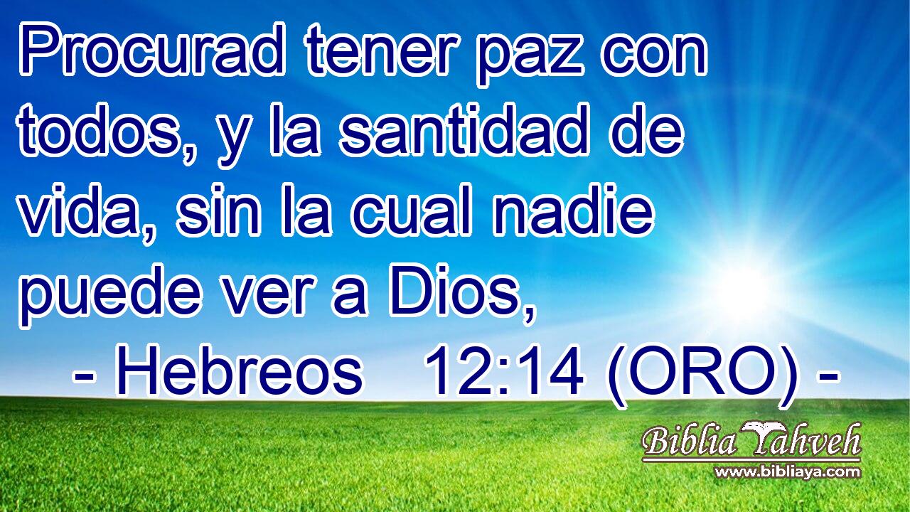  Procurad tener paz con todos, y la santidad de vida, sin la cual nadie puede ver a Dios, 