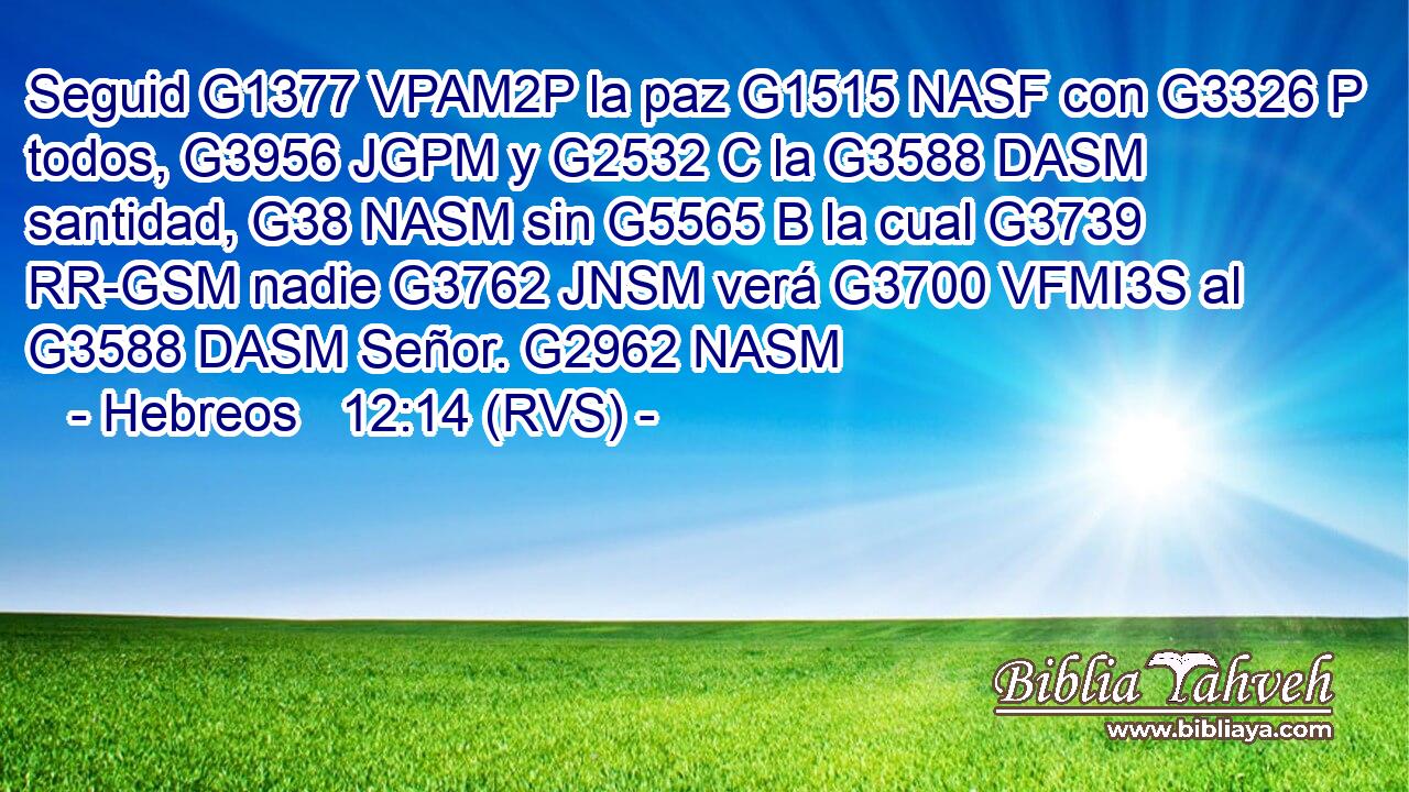 Seguid G1377 VPAM2P la paz G1515 NASF con G3326 P todos, G3956 JGPM y G2532 C la G3588 DASM santidad, G38 NASM sin G5565 B la cual G3739 RR-GSM nadie G3762 JNSM verá G3700 VFMI3S al G3588 DASM Señor. G2962 NASM 