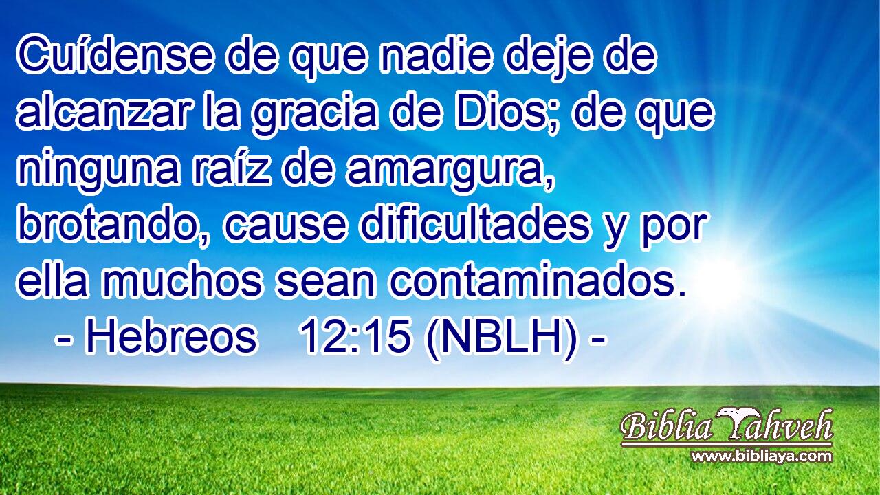  Cuídense de que nadie deje de alcanzar la gracia de Dios; de que ninguna raíz de amargura, brotando, cause dificultades y por ella muchos sean contaminados. 