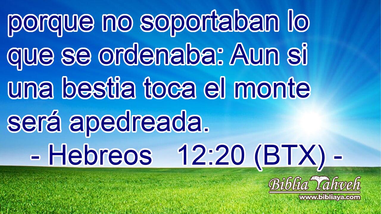 porque no soportaban lo que se ordenaba: Aun si una bestia toca el monte será apedreada.