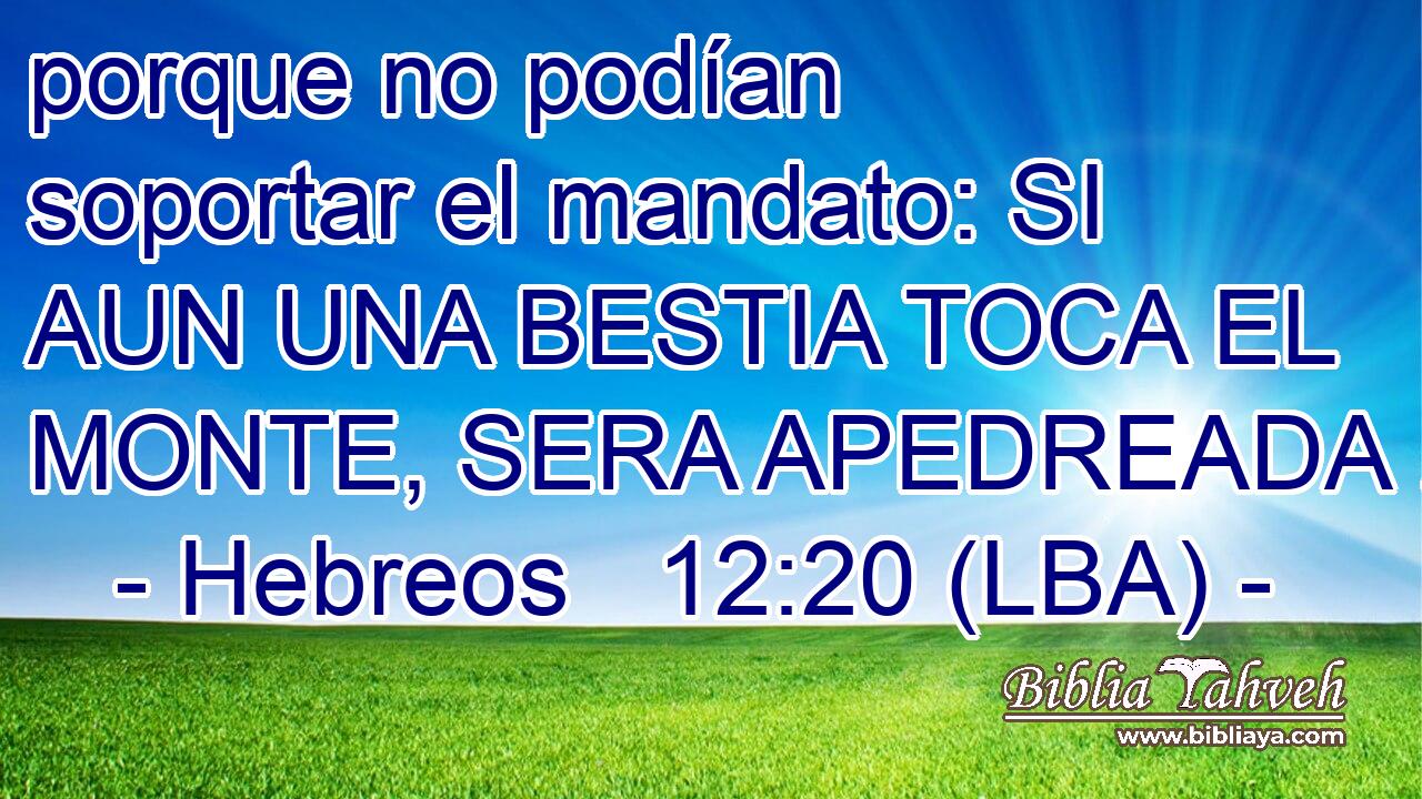 porque no podían soportar el mandato: SI AUN UNA BESTIA TOCA EL MONTE, SERA APEDREADA .