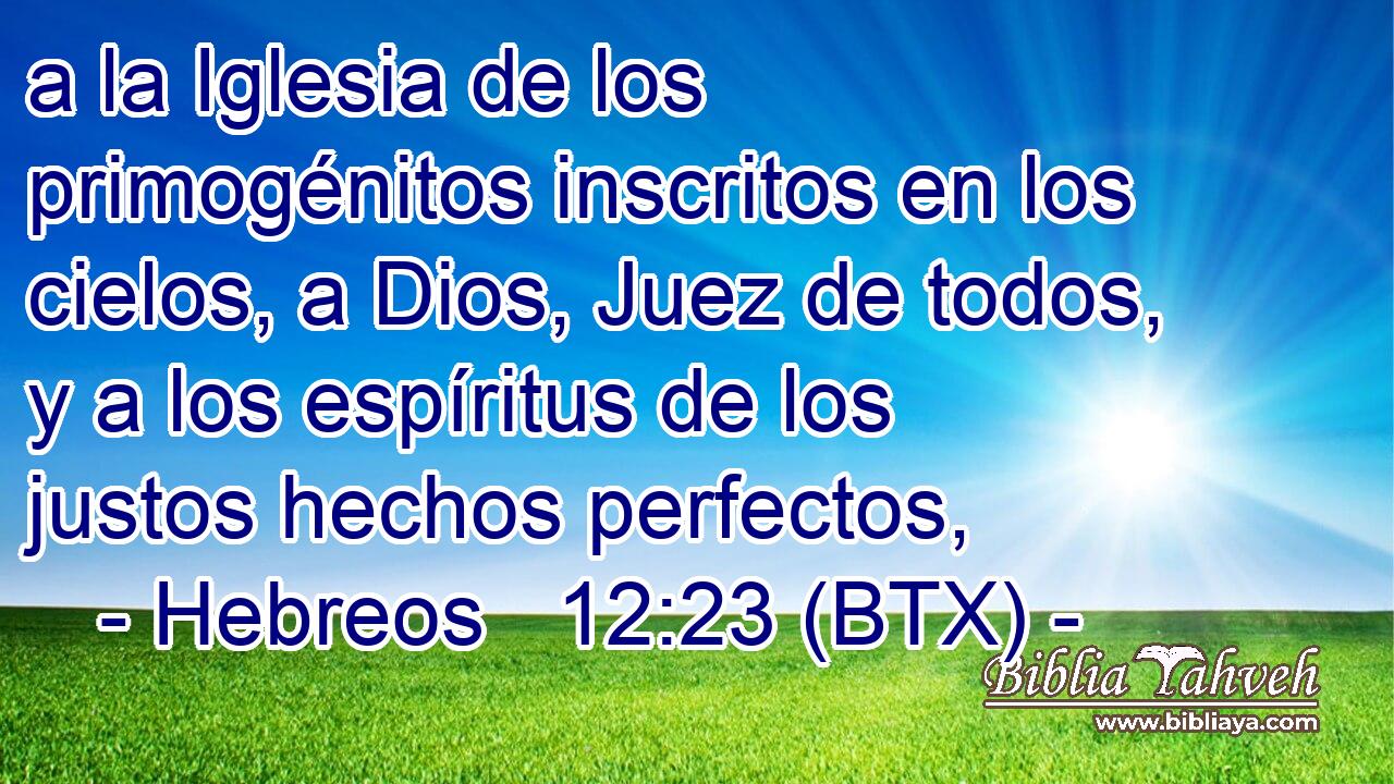 a la Iglesia de los primogénitos inscritos en los cielos, a Dios, Juez de todos, y a los espíritus de los justos hechos perfectos,