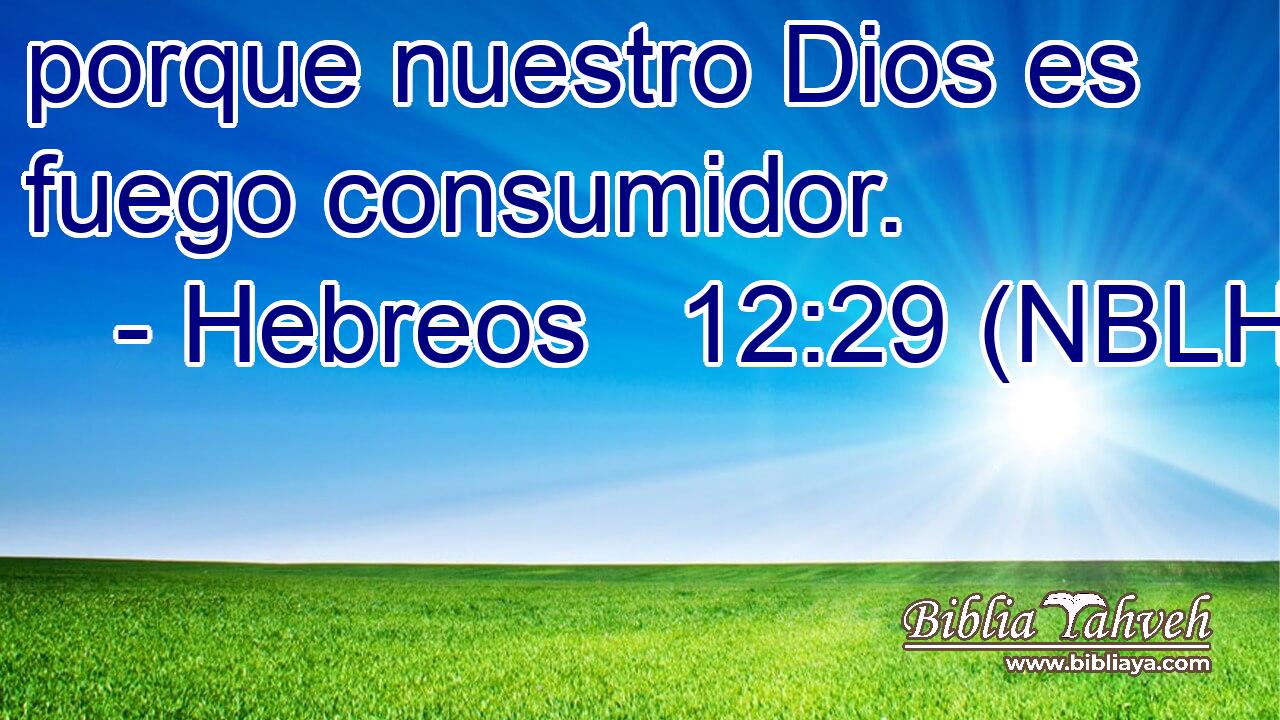  porque nuestro Dios es fuego consumidor. 