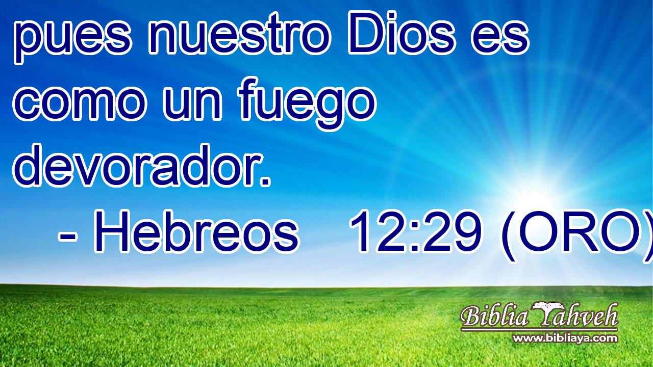  pues nuestro Dios es como un fuego devorador. 