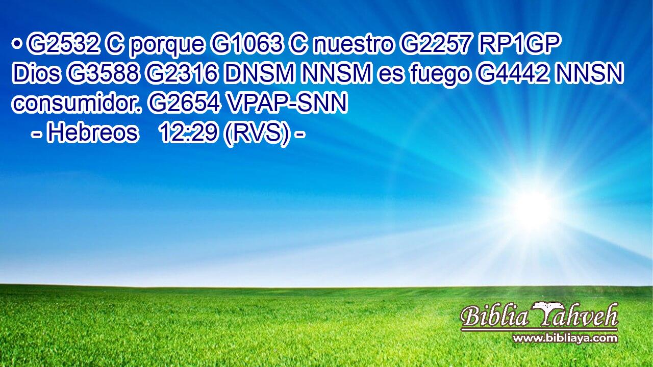 • G2532 C porque G1063 C nuestro G2257 RP1GP Dios G3588 G2316 DNSM NNSM es fuego G4442 NNSN consumidor. G2654 VPAP-SNN 