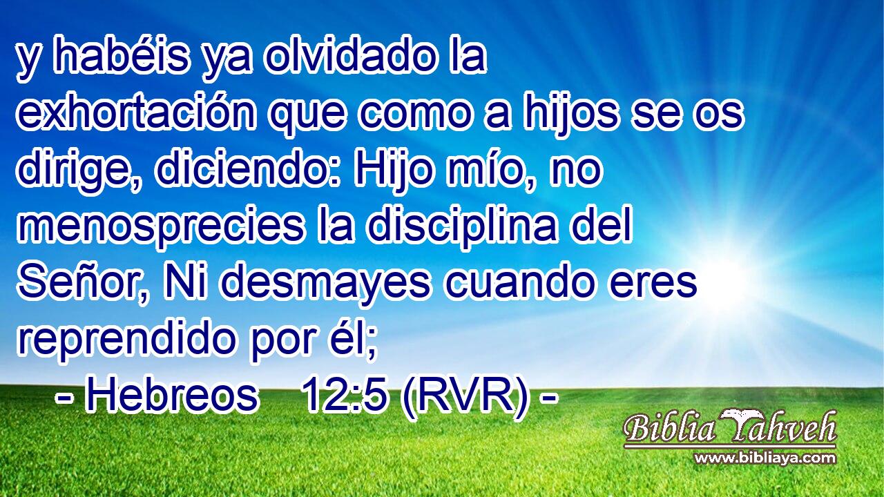 y habéis ya olvidado la exhortación que como a hijos se os dirige, diciendo: Hijo mío, no menosprecies la disciplina del Señor, Ni desmayes cuando eres reprendido por él;