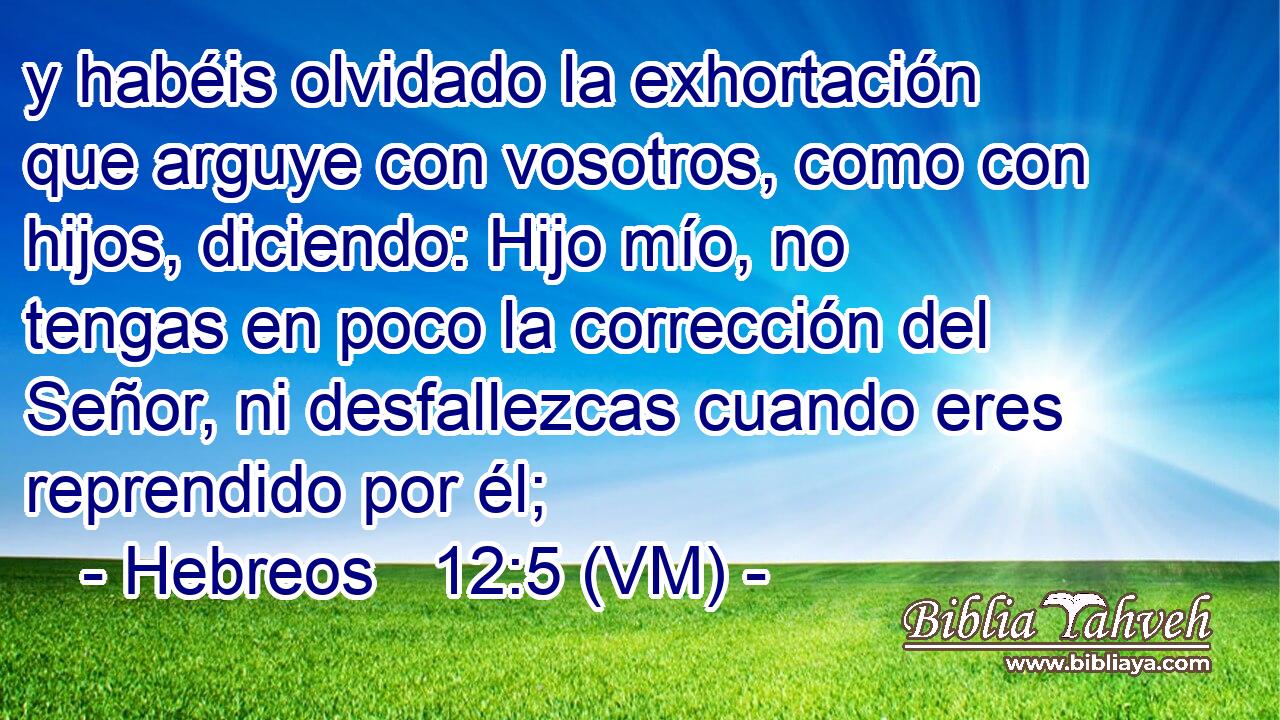  y habéis olvidado la exhortación que arguye con vosotros, como con hijos, diciendo: Hijo mío, no tengas en poco la corrección del Señor, ni desfallezcas cuando eres reprendido por él; 