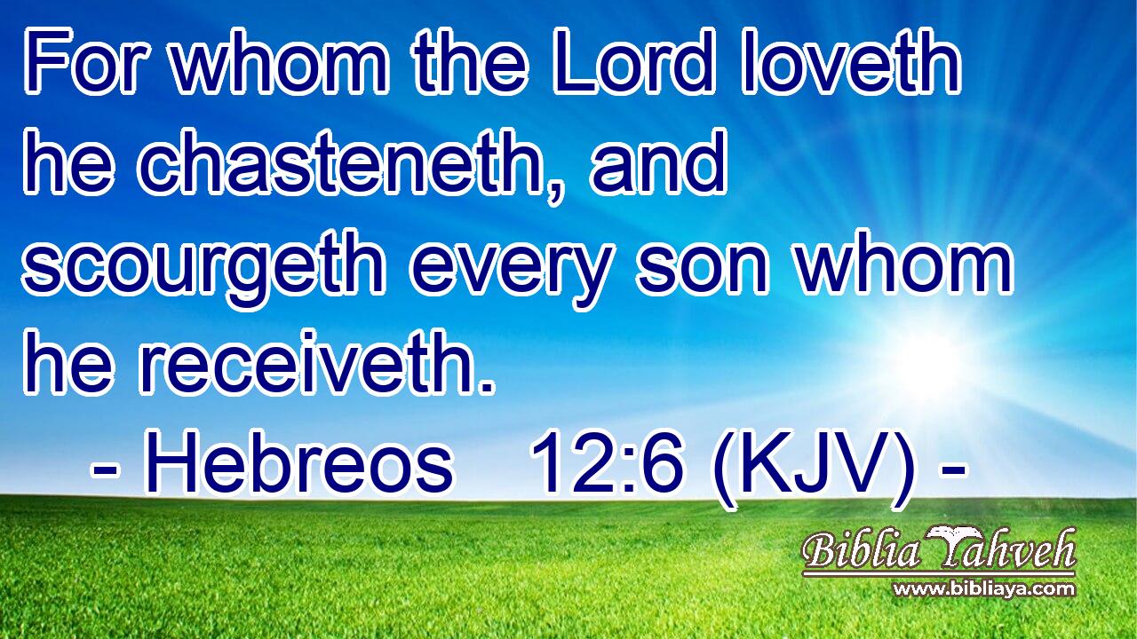 For whom the Lord loveth he chasteneth, and scourgeth every son whom he receiveth.