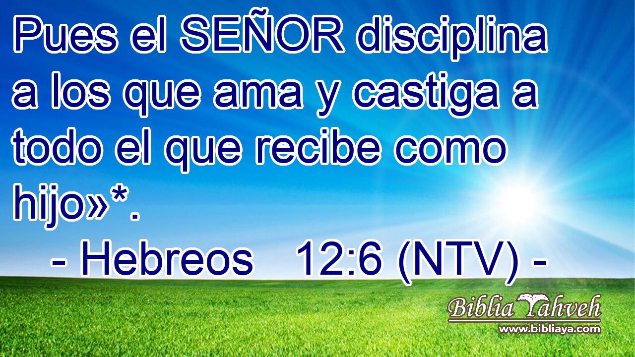 Pues el SEÑOR disciplina a los que ama y castiga a todo el que recibe como hijo»*.
