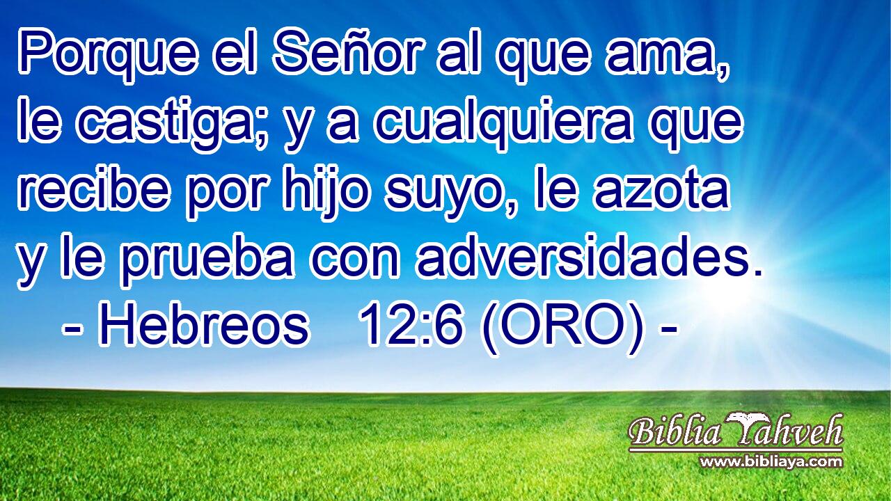  Porque el Señor al que ama, le castiga; y a cualquiera que recibe por hijo suyo, le azota y le prueba con adversidades. 