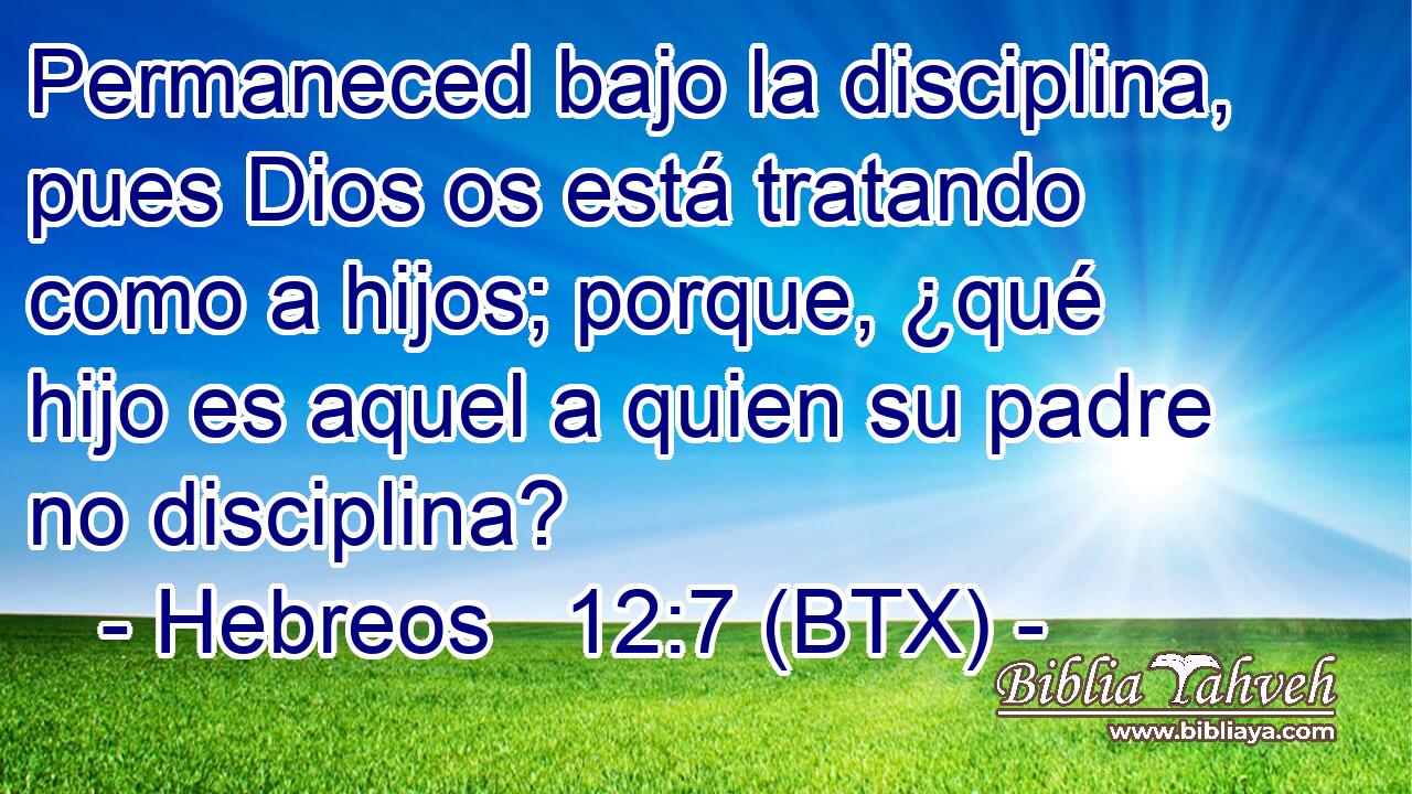 Permaneced bajo la disciplina, pues Dios os está tratando como a hijos; porque, ¿qué hijo es aquel a quien su padre no disciplina?