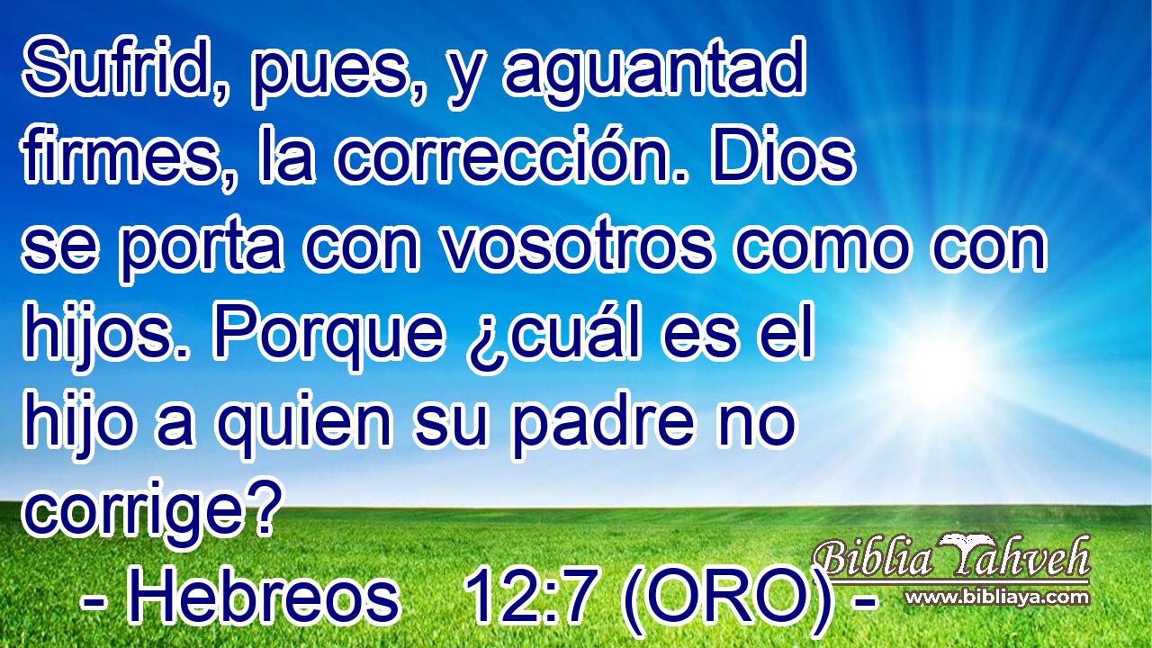  Sufrid, pues, y aguantad firmes, la corrección. Dios se porta con vosotros como con hijos. Porque ¿cuál es el hijo a quien su padre no corrige? 