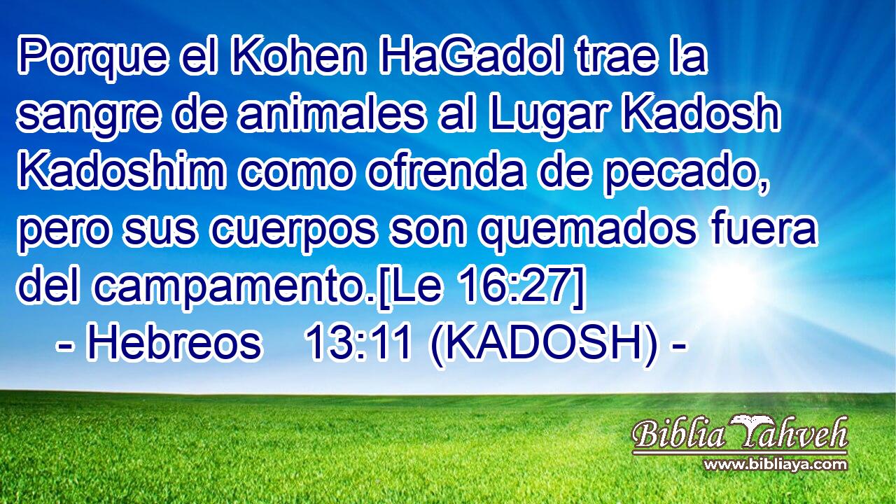  Porque el Kohen HaGadol trae la sangre de animales al Lugar Kadosh Kadoshim como ofrenda de pecado, pero sus cuerpos son quemados fuera del campamento.[Le 16:27] 