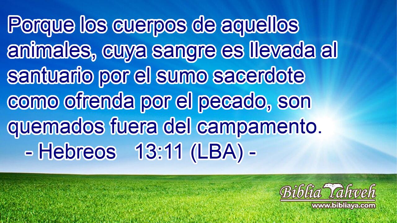 Porque los cuerpos de aquellos animales, cuya sangre es llevada al santuario por el sumo sacerdote como ofrenda por el pecado, son quemados fuera del campamento.