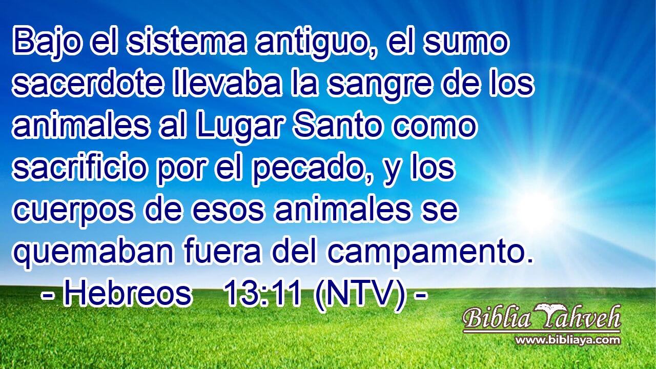 Bajo el sistema antiguo, el sumo sacerdote llevaba la sangre de los animales al Lugar Santo como sacrificio por el pecado, y los cuerpos de esos animales se quemaban fuera del campamento.