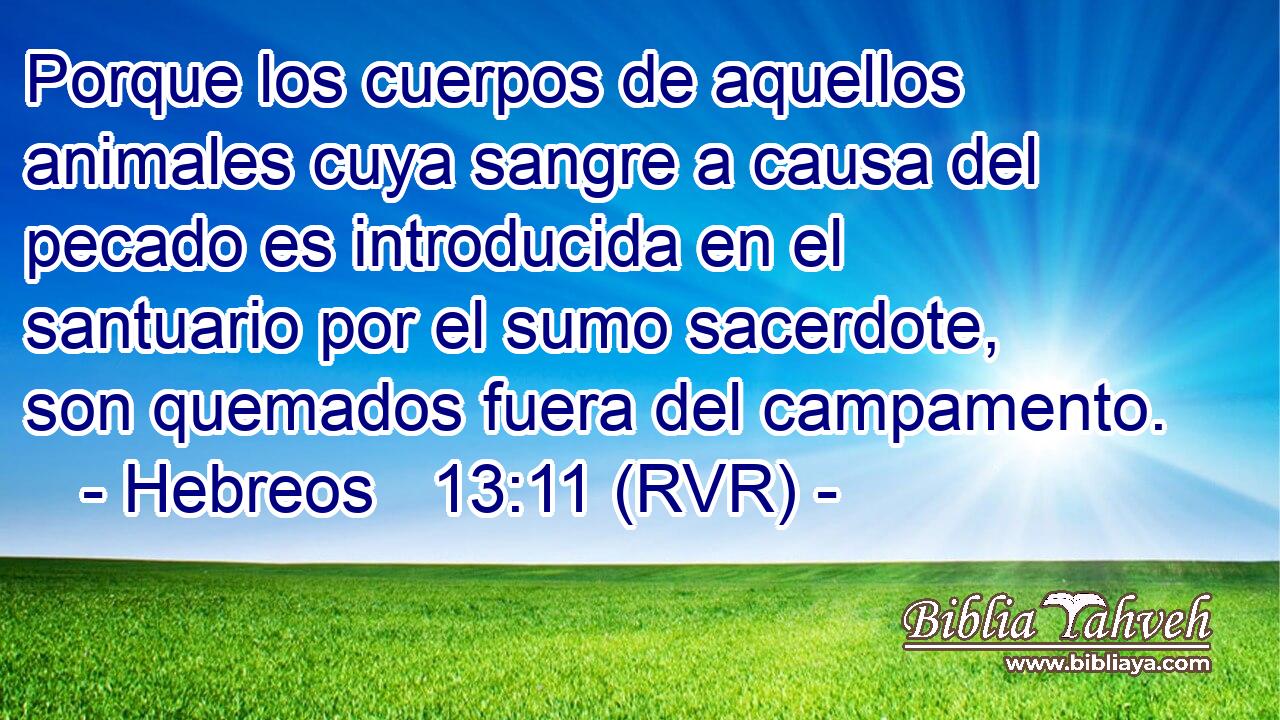 Porque los cuerpos de aquellos animales cuya sangre a causa del pecado es introducida en el santuario por el sumo sacerdote, son quemados fuera del campamento.