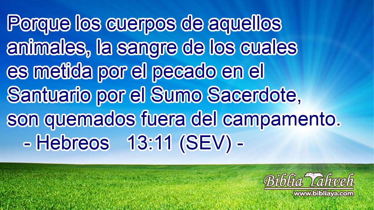 Porque los cuerpos de aquellos animales, la sangre de los cuales es metida por el pecado en el Santuario por el Sumo Sacerdote, son quemados fuera del campamento.