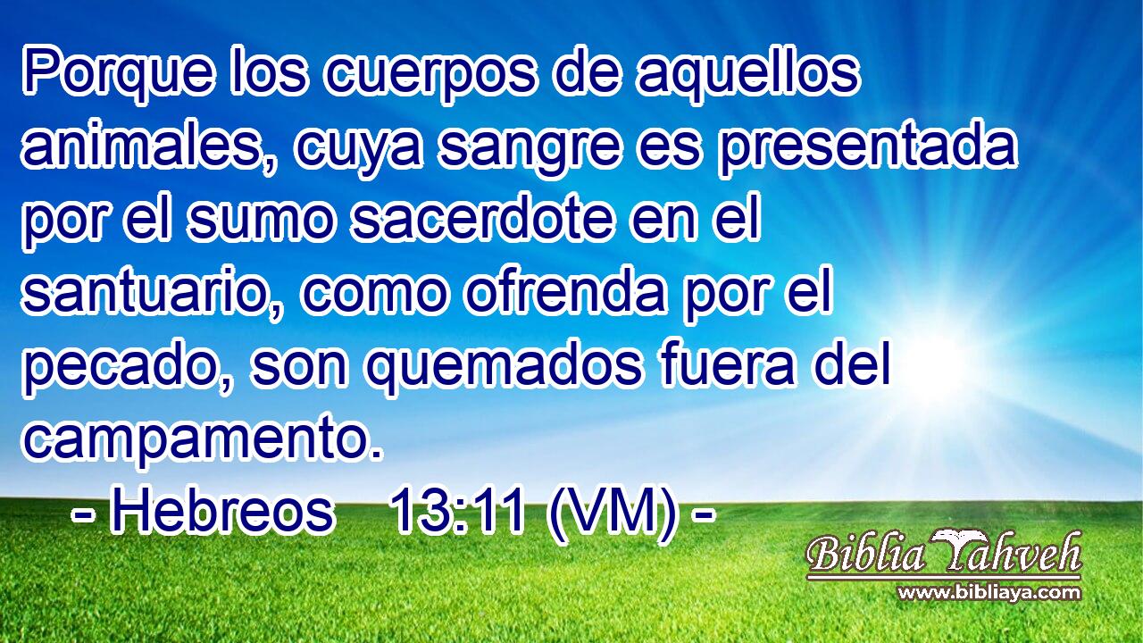  Porque los cuerpos de aquellos animales, cuya sangre es presentada por el sumo sacerdote en el santuario, como ofrenda por el pecado, son quemados fuera del campamento. 