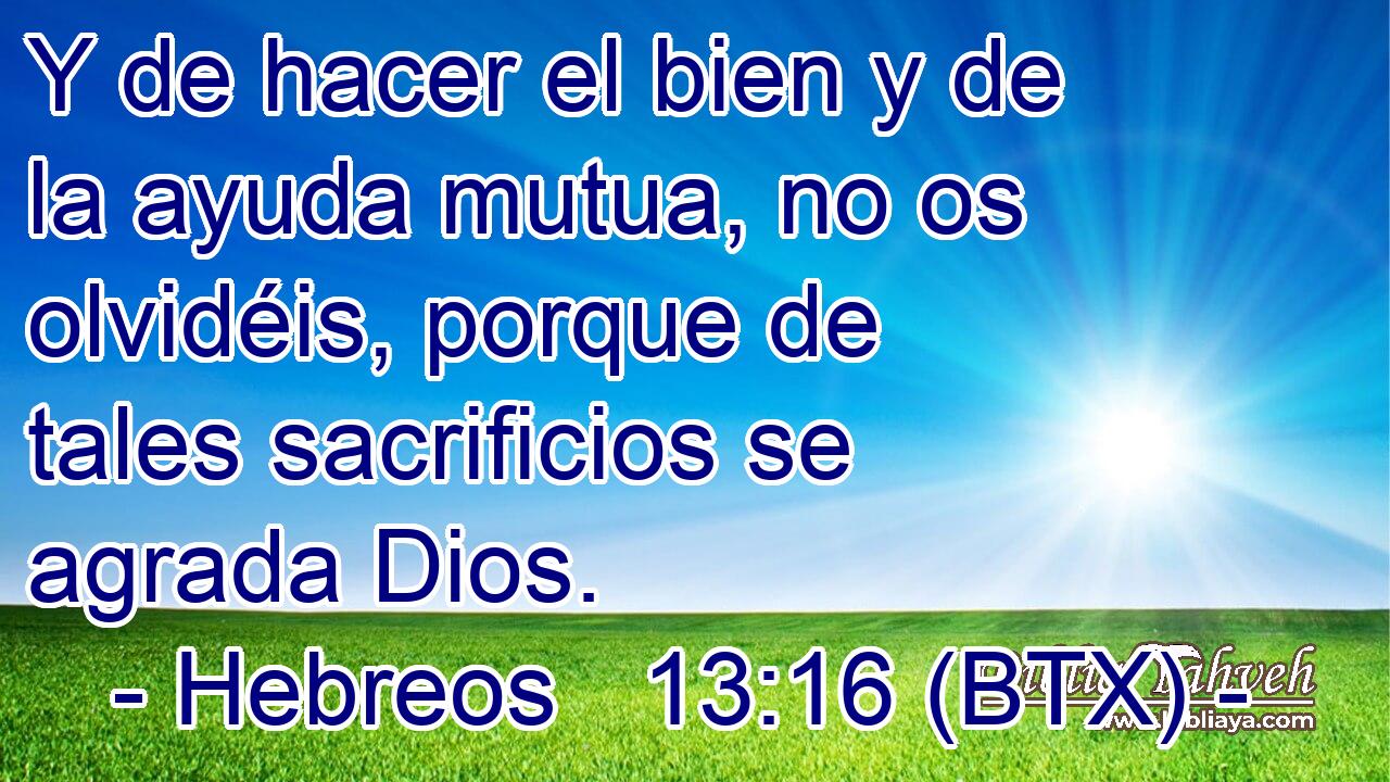 Y de hacer el bien y de la ayuda mutua, no os olvidéis, porque de tales sacrificios se agrada Dios.
