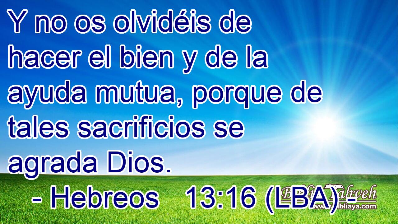 Y no os olvidéis de hacer el bien y de la ayuda mutua, porque de tales sacrificios se agrada Dios.