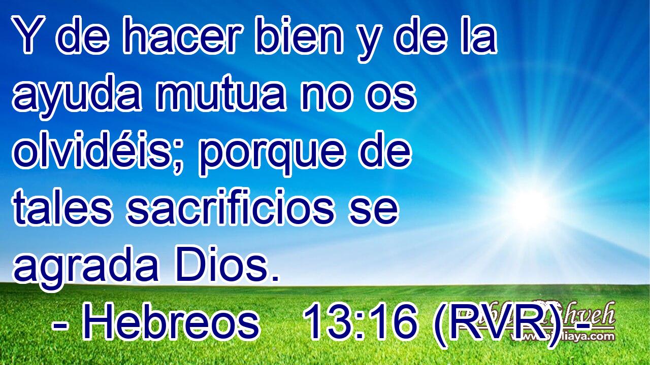 Y de hacer bien y de la ayuda mutua no os olvidéis; porque de tales sacrificios se agrada Dios.
