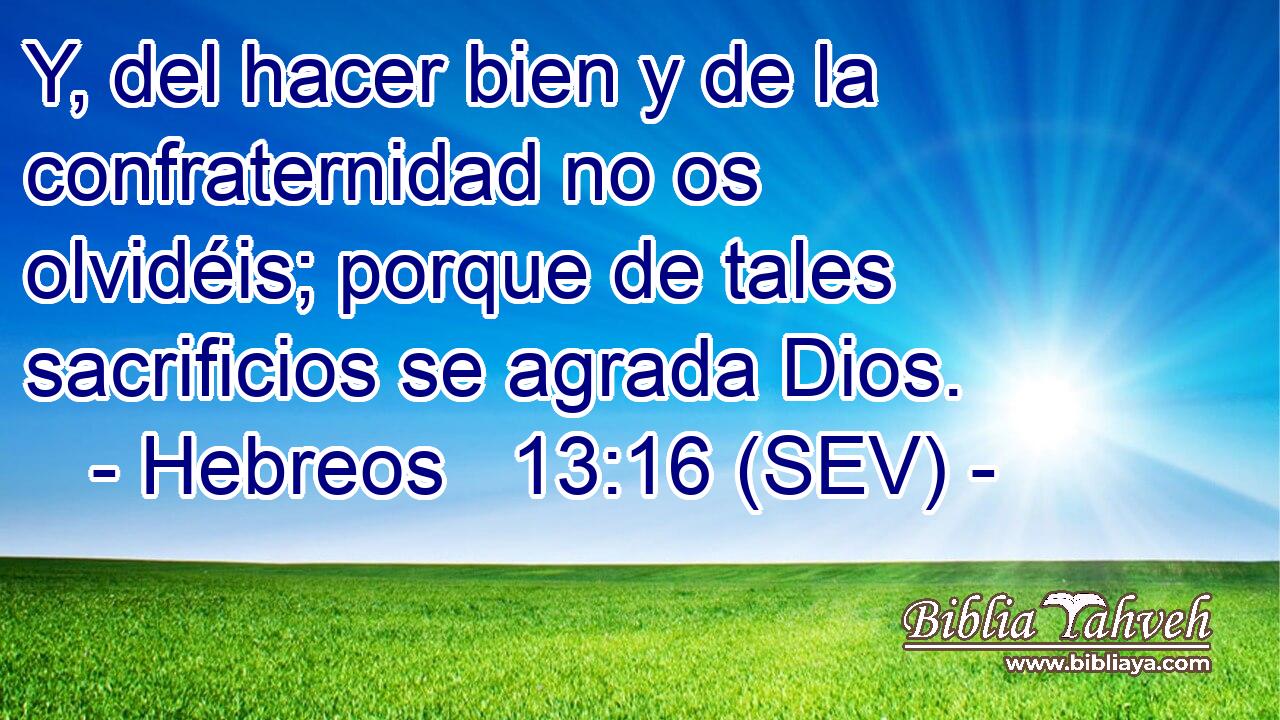Y, del hacer bien y de la confraternidad no os olvidéis; porque de tales sacrificios se agrada Dios.
