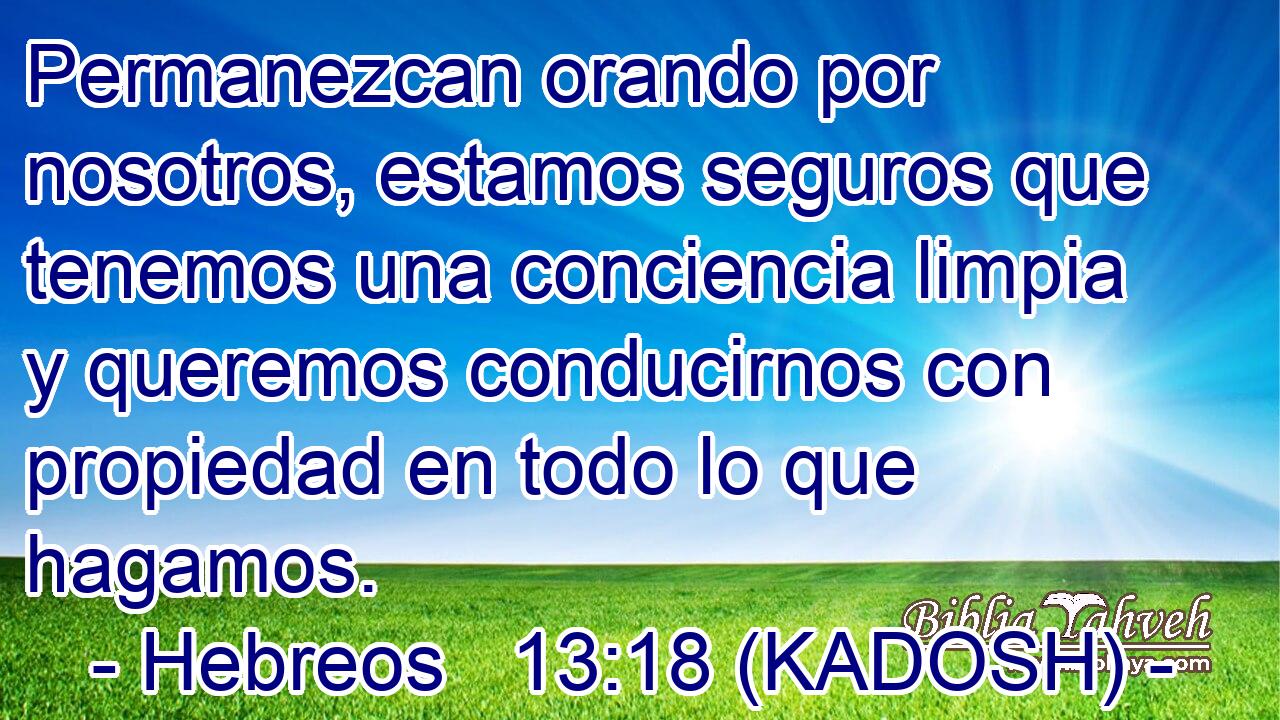  Permanezcan orando por nosotros, estamos seguros que tenemos una conciencia limpia y queremos conducirnos con propiedad en todo lo que hagamos. 