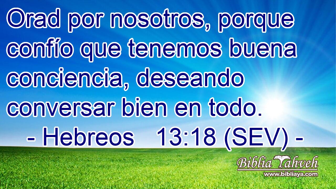 Orad por nosotros, porque confío que tenemos buena conciencia, deseando conversar bien en todo.