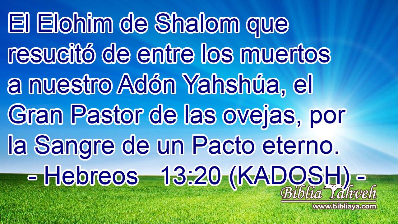  El Elohim de Shalom que resucitó de entre los muertos a nuestro Adón Yahshúa, el Gran Pastor de las ovejas, por la Sangre de un Pacto eterno. 