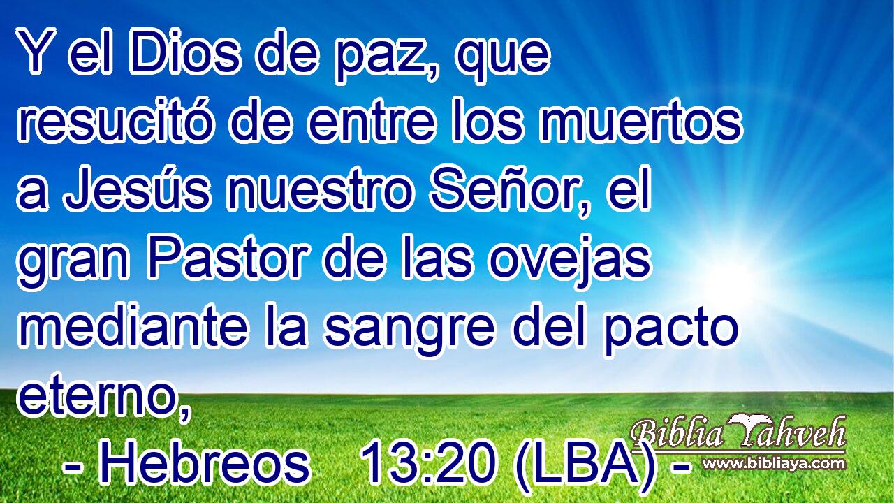 Y el Dios de paz, que resucitó de entre los muertos a Jesús nuestro Señor, el gran Pastor de las ovejas mediante la sangre del pacto eterno,