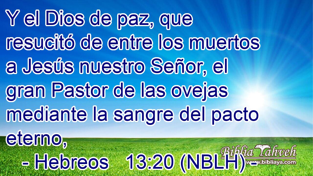  Y el Dios de paz, que resucitó de entre los muertos a Jesús nuestro Señor, el gran Pastor de las ovejas mediante la sangre del pacto eterno, 
