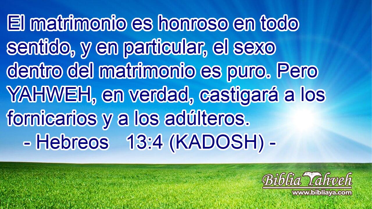  El matrimonio es honroso en todo sentido, y en particular, el sexo dentro del matrimonio es puro. Pero YAHWEH, en verdad, castigará a los fornicarios y a los adúlteros. 