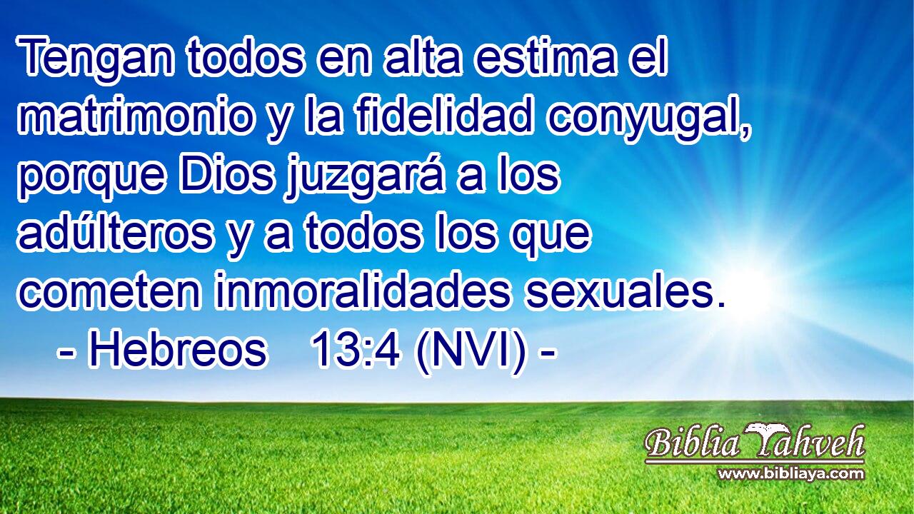 Tengan todos en alta estima el matrimonio y la fidelidad conyugal, porque Dios juzgará a los adúlteros y a todos los que cometen inmoralidades sexuales. 