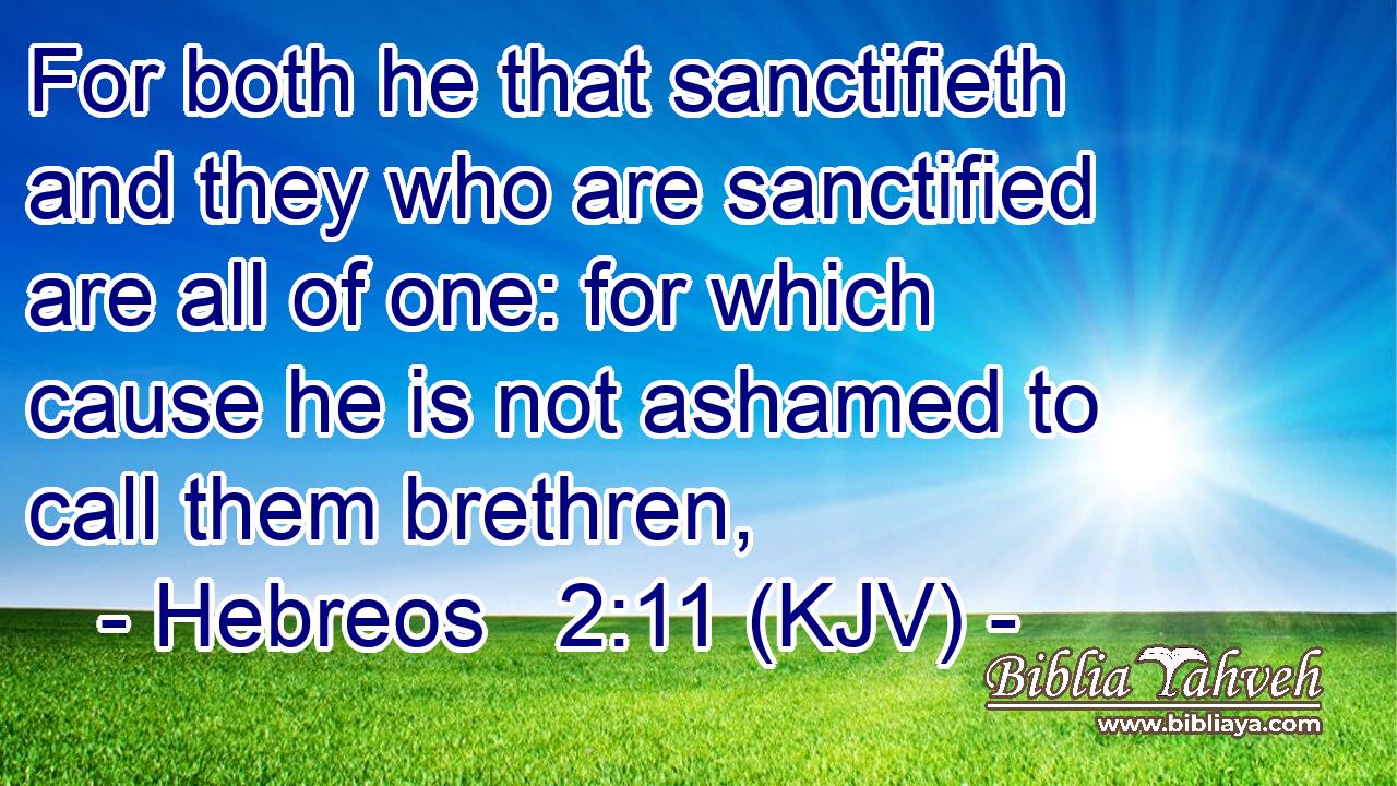 For both he that sanctifieth and they who are sanctified are all of one: for which cause he is not ashamed to call them brethren,
