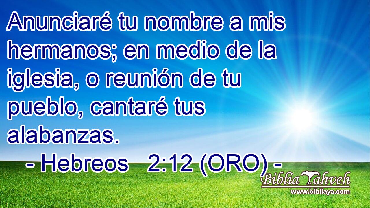  Anunciaré tu nombre a mis hermanos; en medio de la iglesia, o reunión de tu pueblo, cantaré tus alabanzas. 
