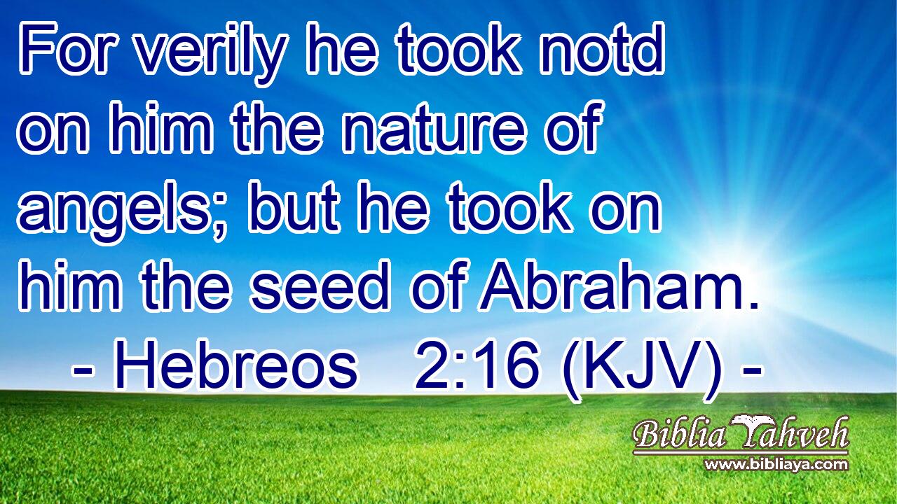 For verily he took notd on him the nature of angels; but he took on him the seed of Abraham.