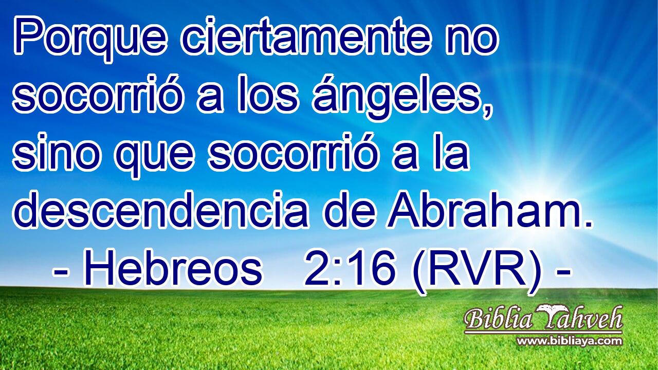 Porque ciertamente no socorrió a los ángeles, sino que socorrió a la descendencia de Abraham.