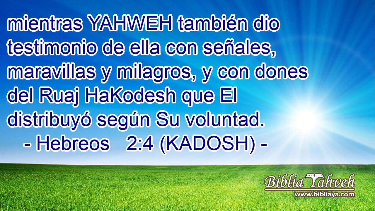  mientras YAHWEH también dio testimonio de ella con señales, maravillas y milagros, y con dones del Ruaj HaKodesh que El distribuyó según Su voluntad. 