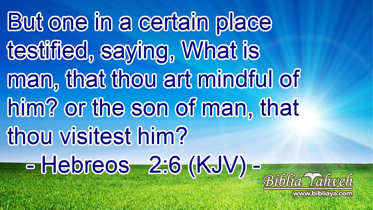 But one in a certain place testified, saying, What is man, that thou art mindful of him? or the son of man, that thou visitest him?