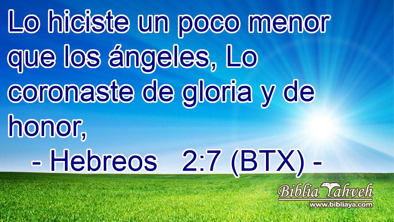 Lo hiciste un poco menor que los ángeles, Lo coronaste de gloria y de honor,