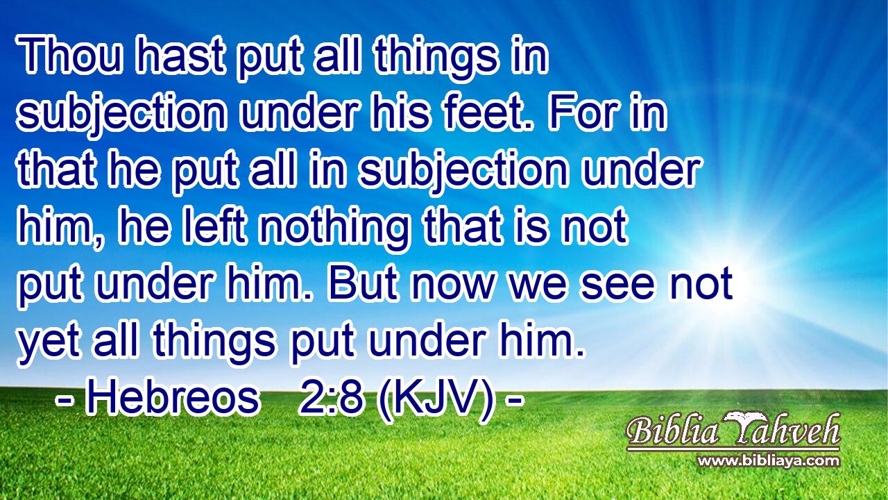 Thou hast put all things in subjection under his feet. For in that he put all in subjection under him, he left nothing that is not put under him. But now we see not yet all things put under him.