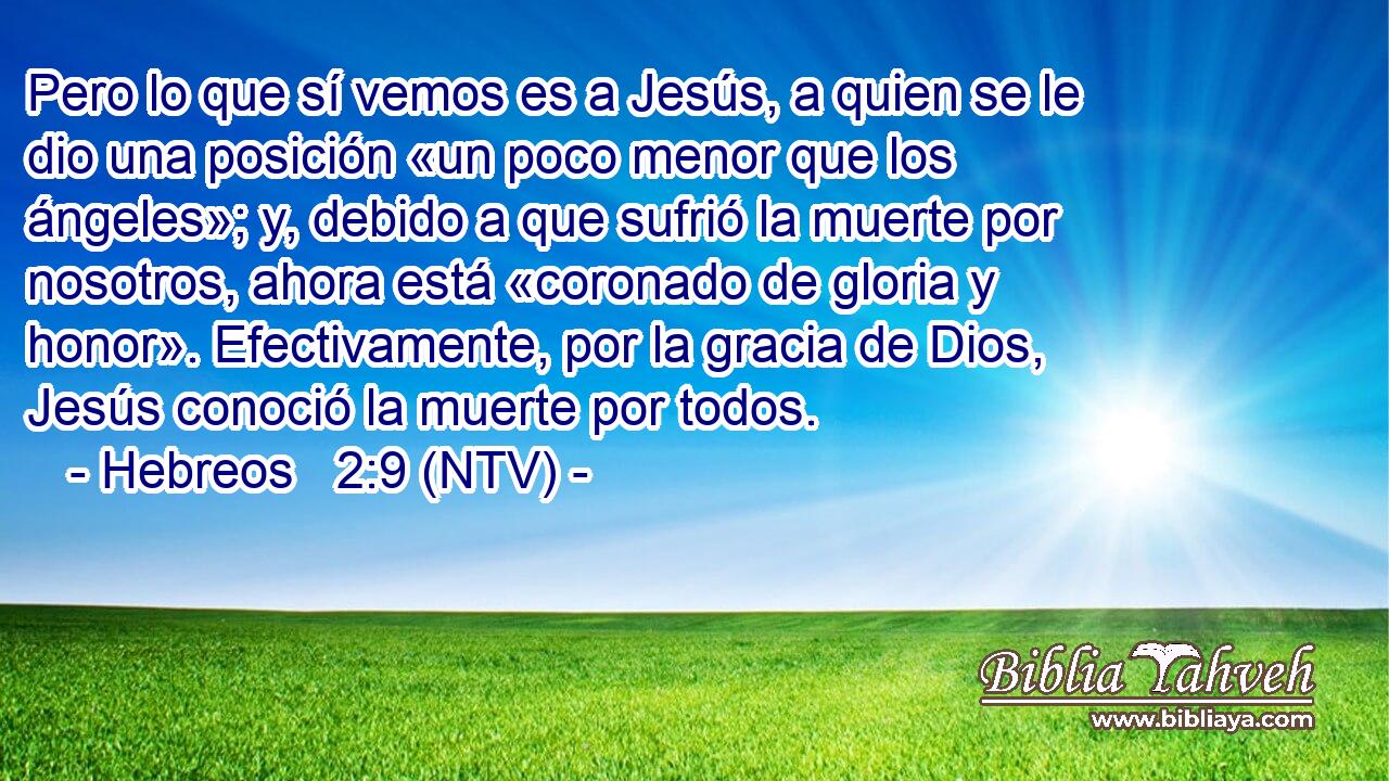 Pero lo que sí vemos es a Jesús, a quien se le dio una posición «un poco menor que los ángeles»; y, debido a que sufrió la muerte por nosotros, ahora está «coronado de gloria y honor». Efectivamente, por la gracia de Dios, Jesús conoció la muerte por todos.