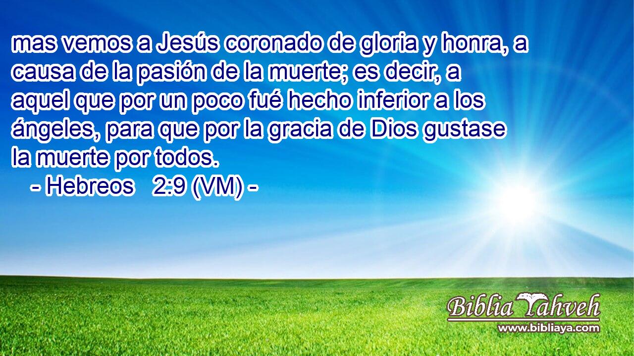  mas vemos a Jesús coronado de gloria y honra, a causa de la pasión de la muerte; es decir, a aquel que por un poco fué hecho inferior a los ángeles, para que por la gracia de Dios gustase la muerte por todos. 